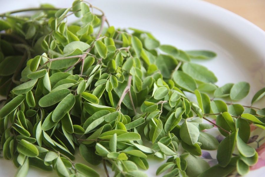 13_Les_bienfaits_des_feuilles_de_moringa_sur_la_peau