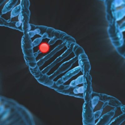 les différents types de test d'adn